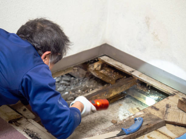 Best Mold Testing  in Fredonia, NY