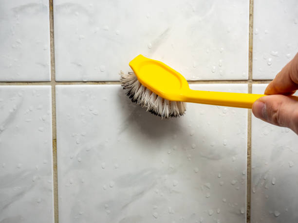 Best Certified Mold Removal  in Fredonia, NY