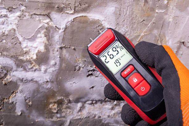 Best Mold Testing  in Fredonia, NY